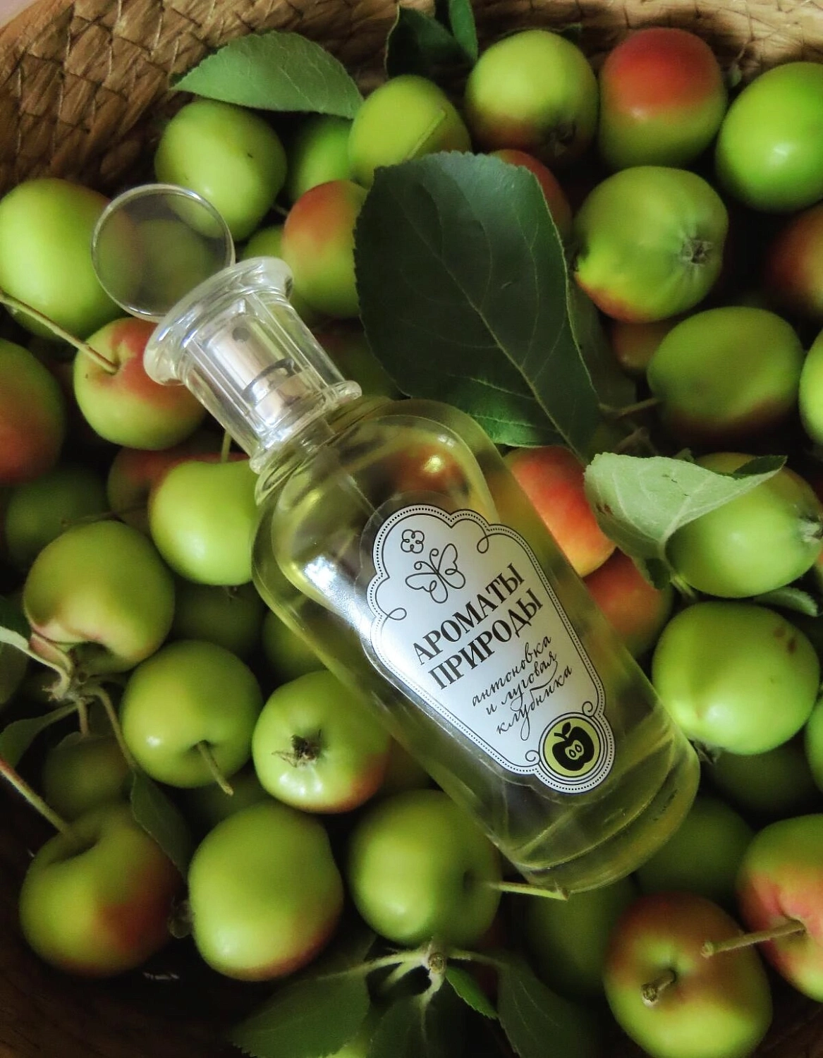 Brocard Антоновка и Луговая клубника