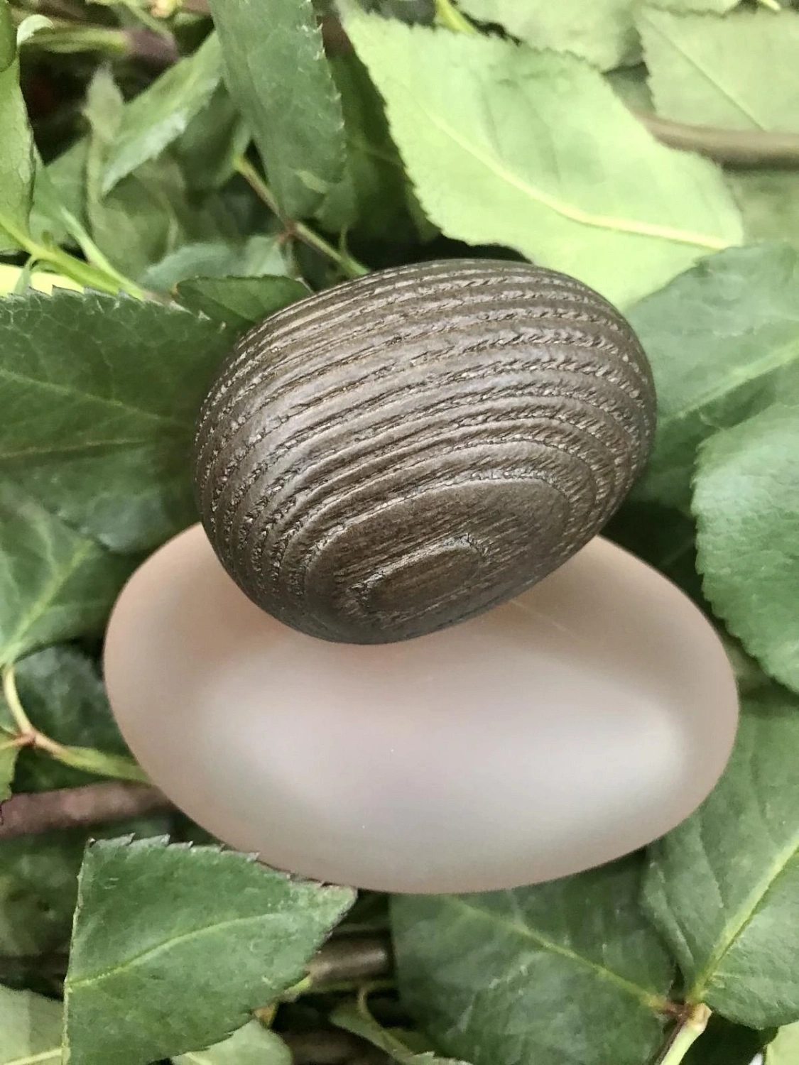 Majda Bekkali J’ai Fait Un Reve Clair