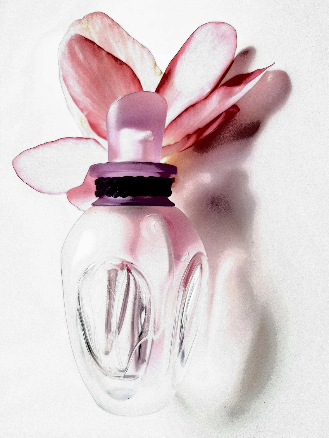 Alexander McQueen My Queen Deluxe Edition Alexander McQueen My Queen Deluxe Edition
