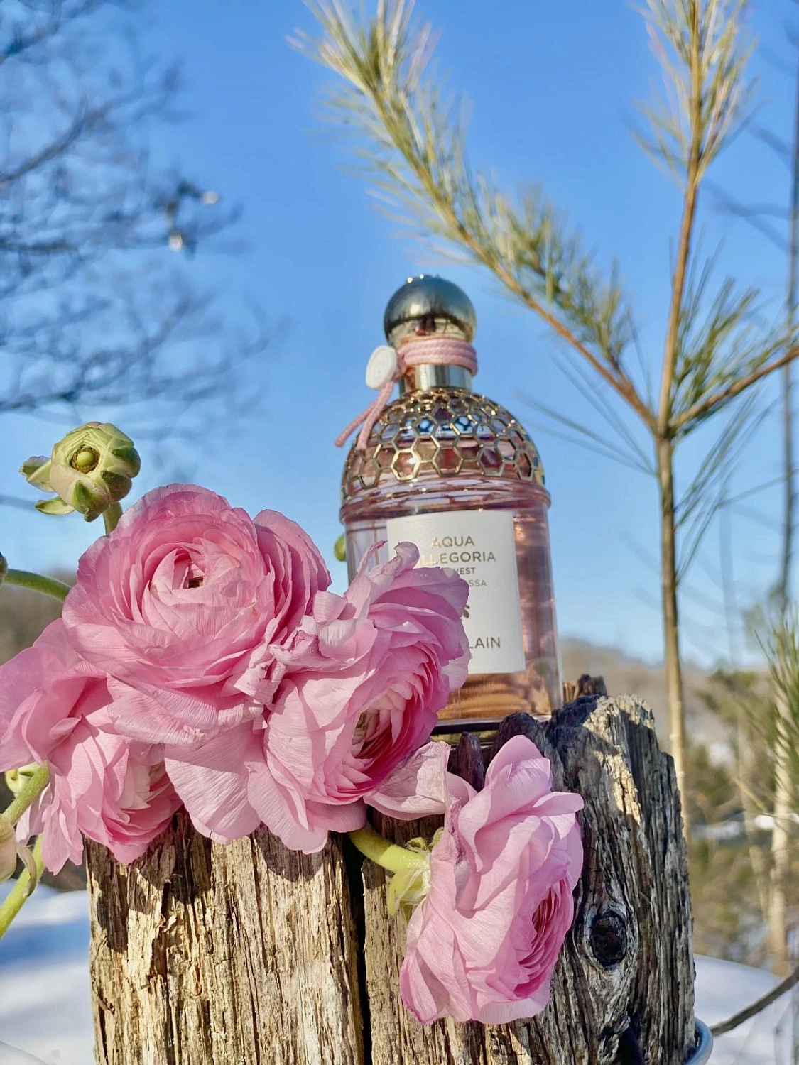 Guerlain Rosa Rossa Harvest Guerlain Rosa Rossa Harvest