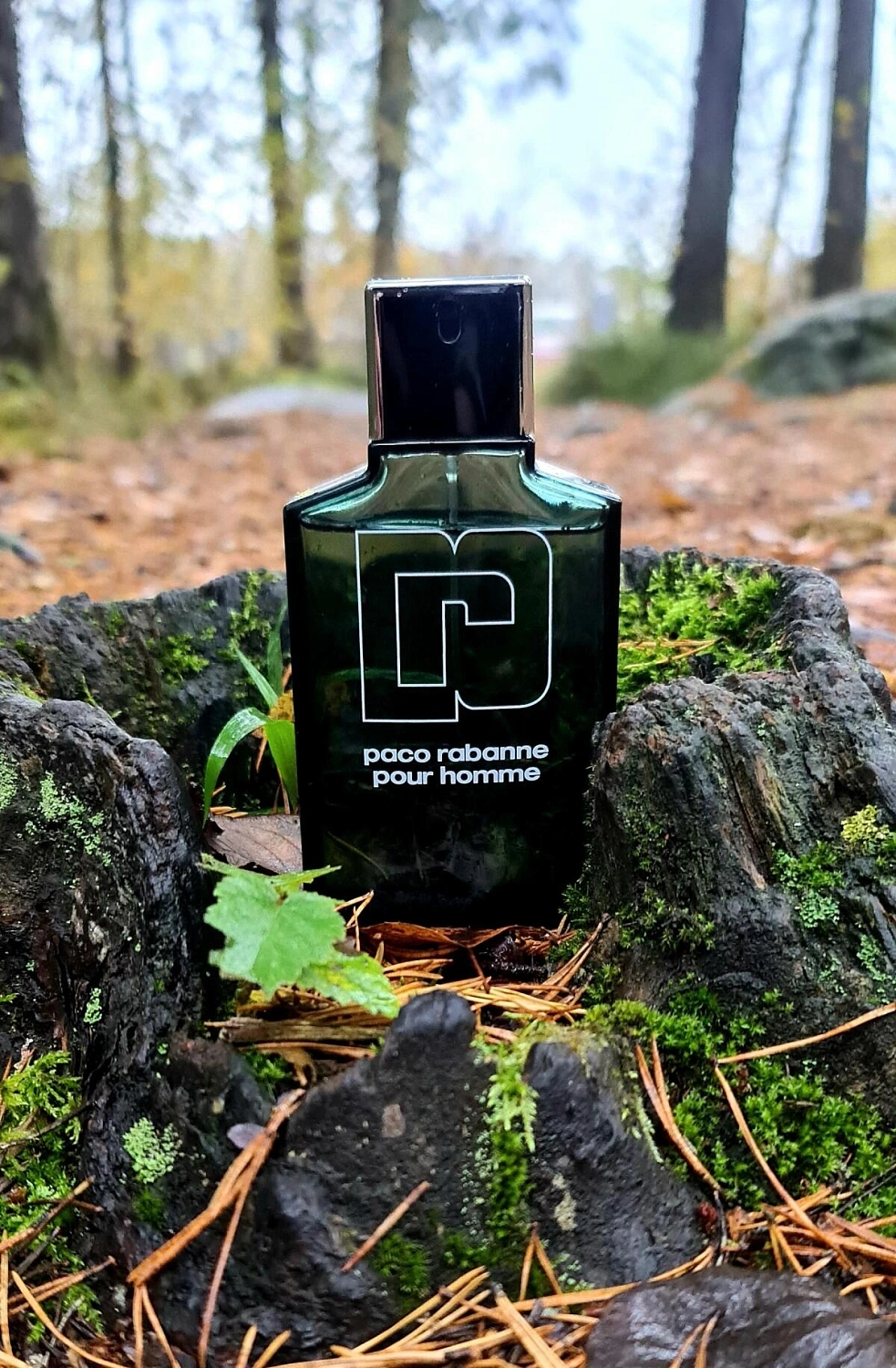 Paco Rabanne Pour Homme