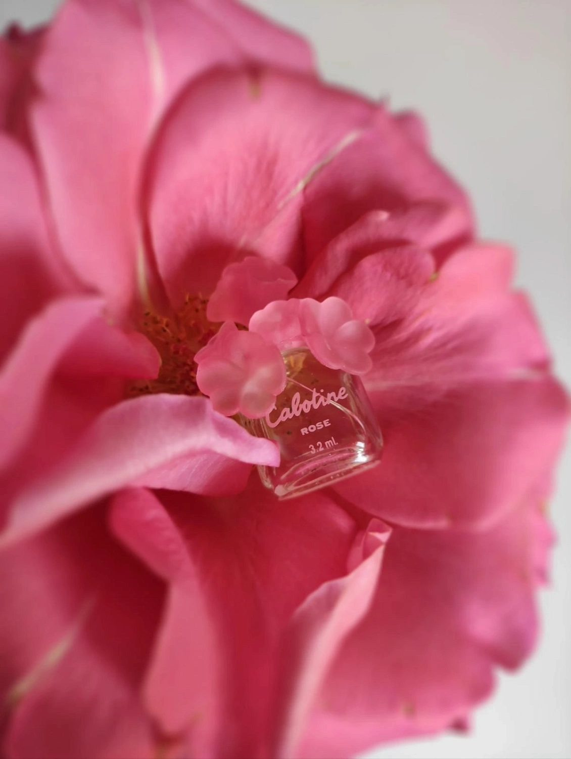 Gres Cabotine Rose Gres Cabotine Rose