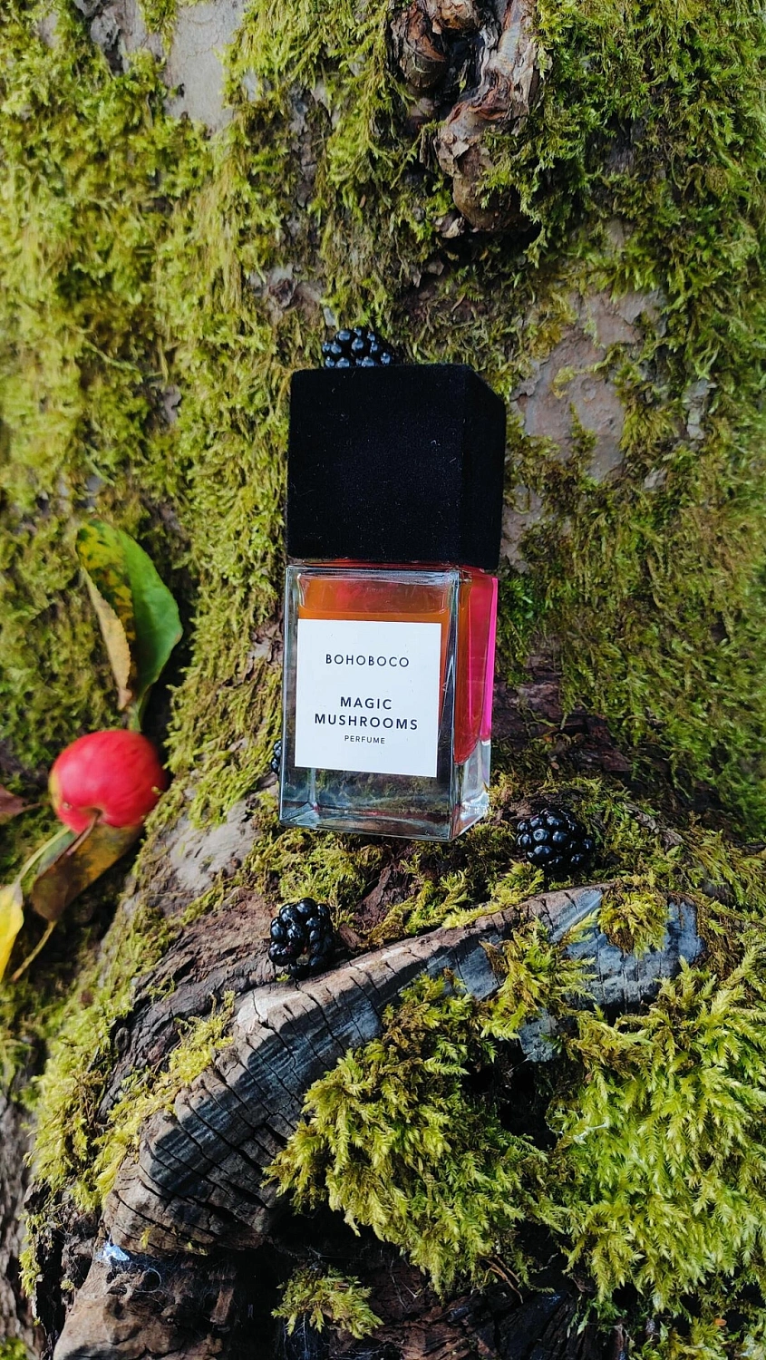 Bohoboco Magic Mushrooms