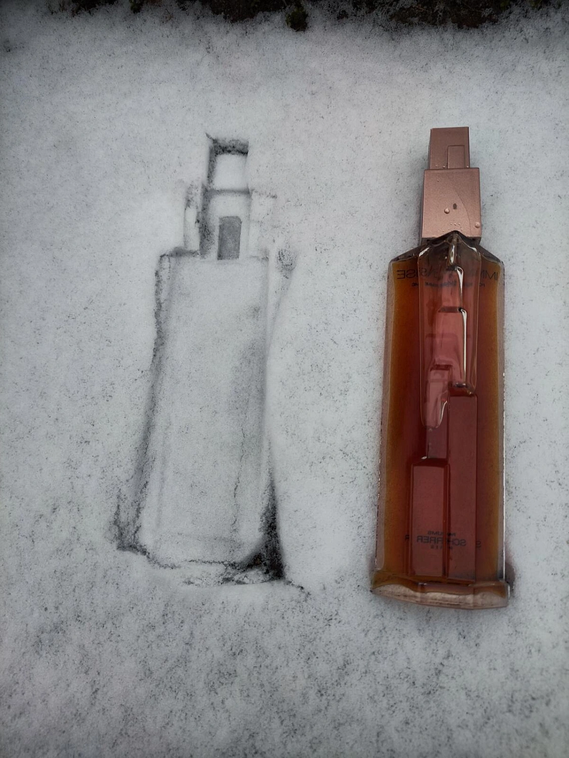 Jean-Louis Scherrer Immense