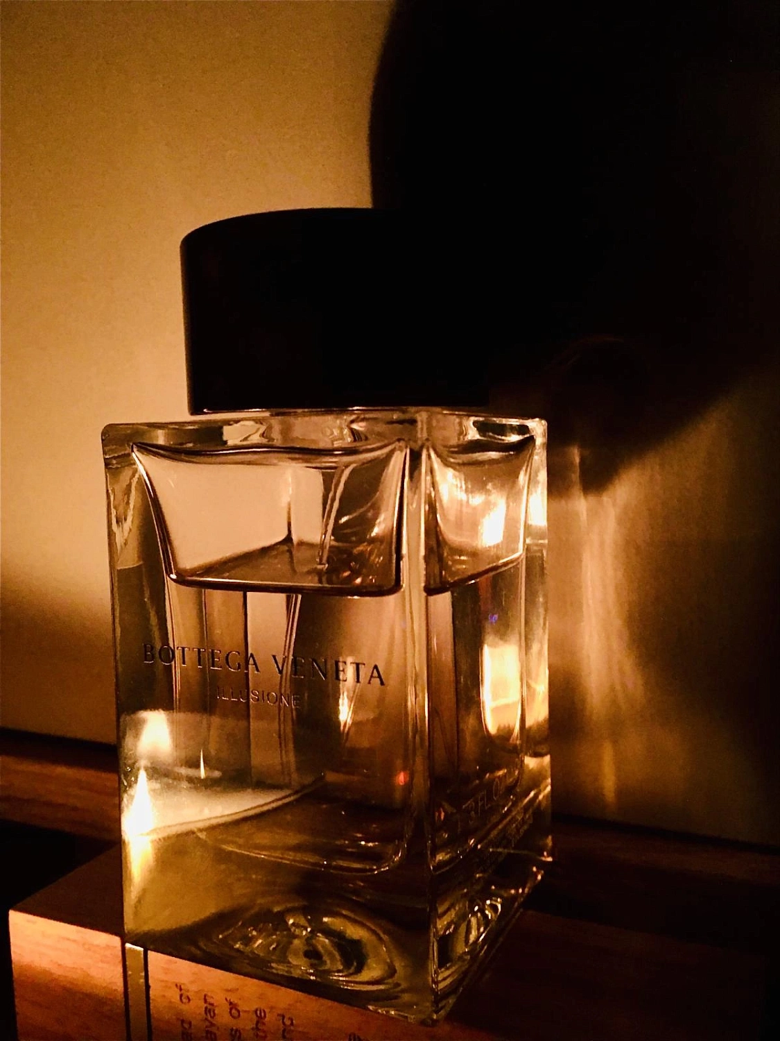 Bottega Veneta Illusione for Him