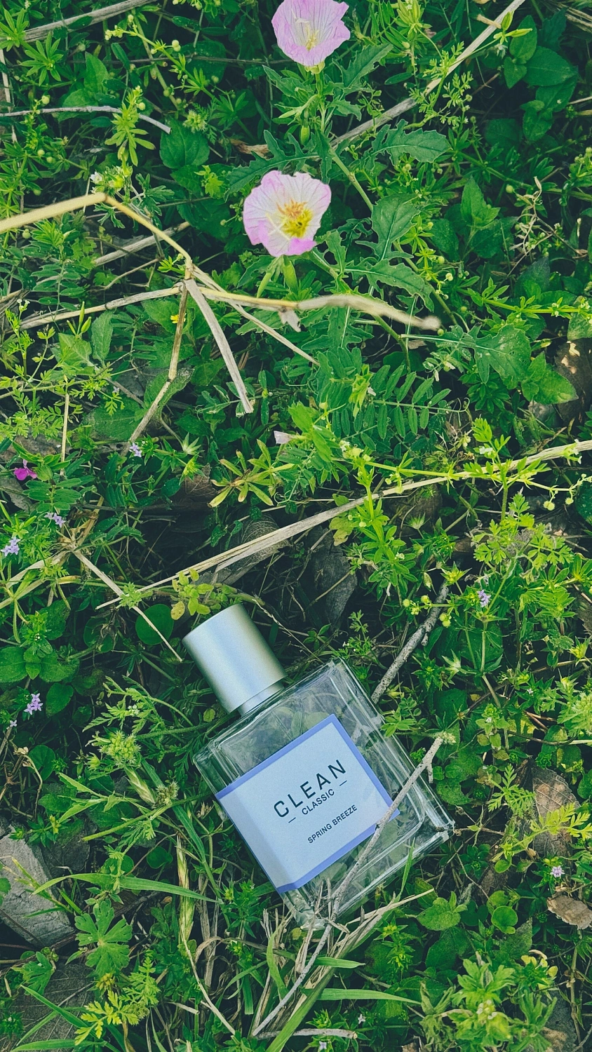 Clean Spring Breeze