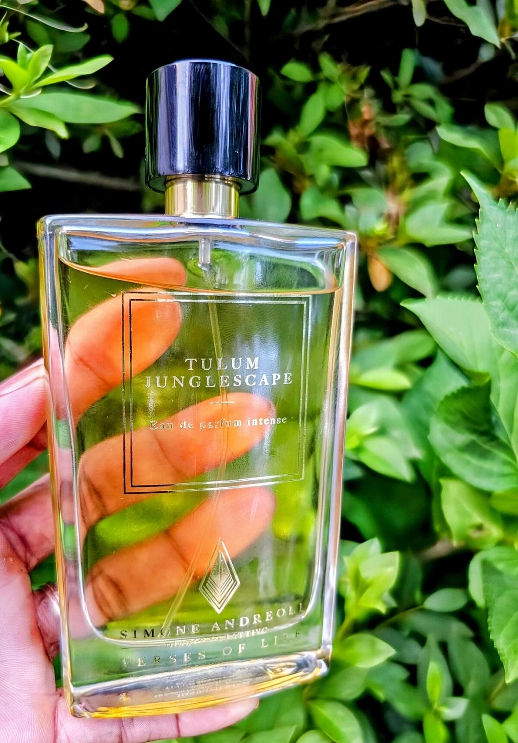 Simone Andreoli Tulum Junglescape