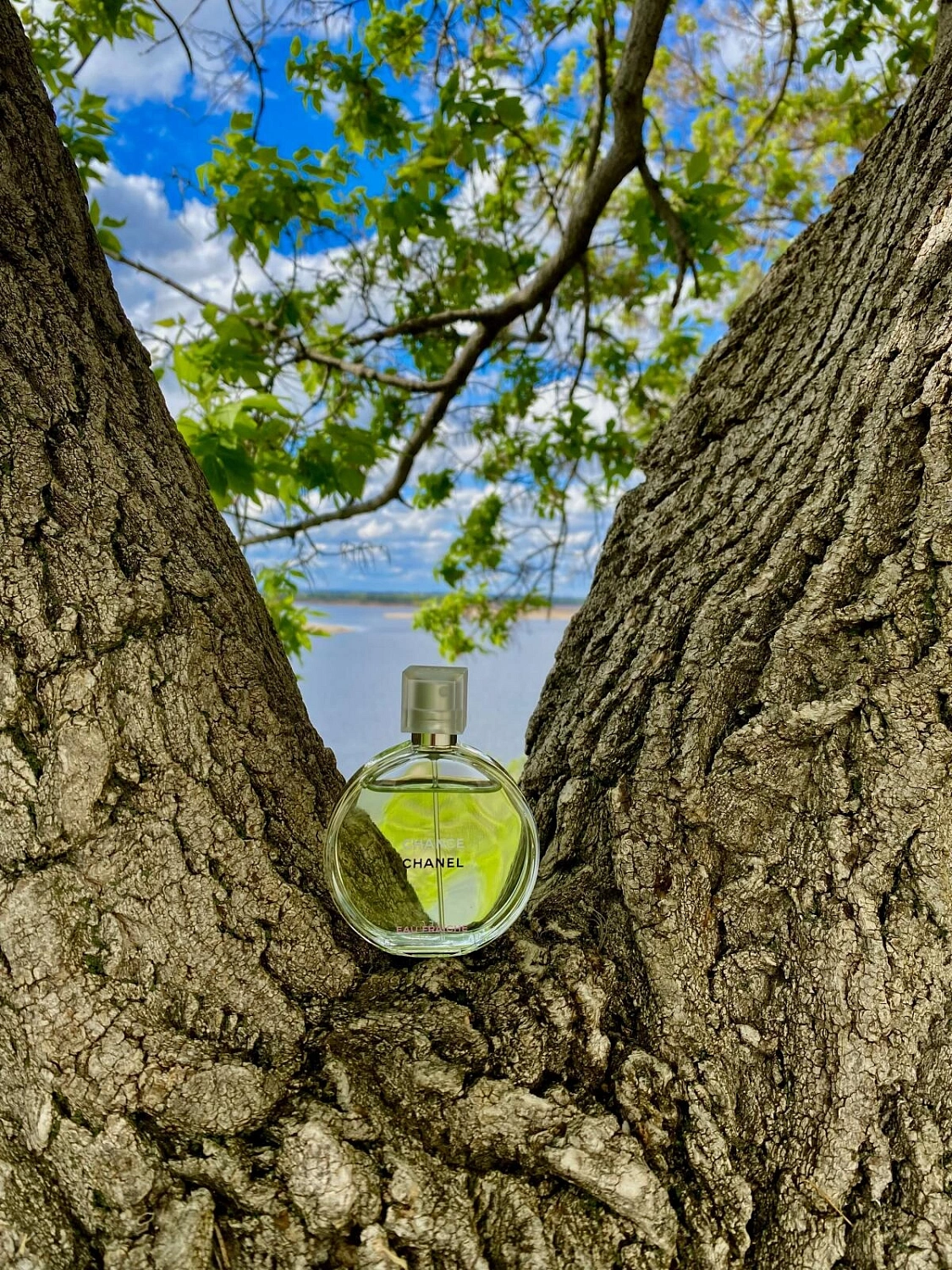 Chanel Chance Eau Fraiche Chanel Chance Eau Fraiche