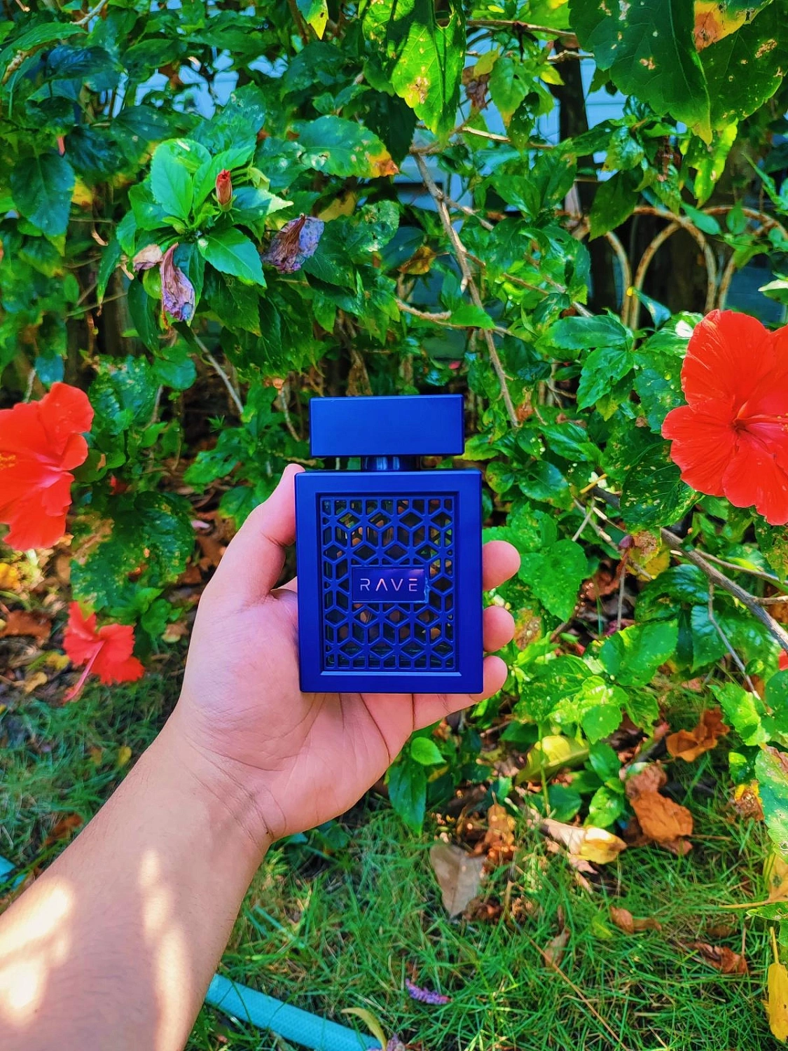 Lattafa Rave Now Intense