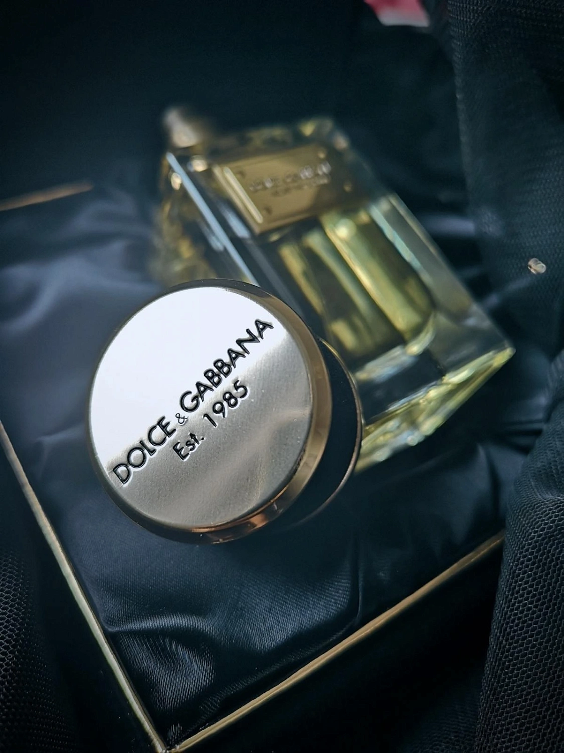 DOLCE & GABBANA Velvet Patchouli