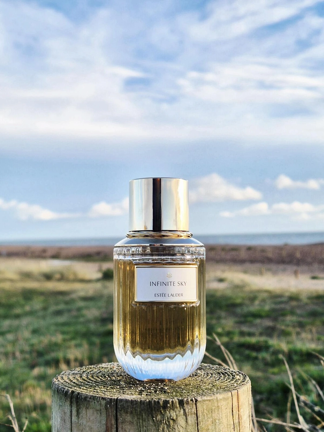 Estee Lauder Infinite Sky