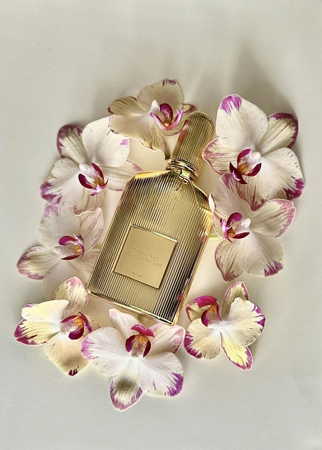 Tom Ford Black Orchid Parfum