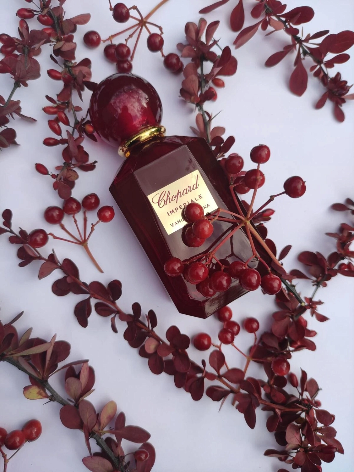 Chopard Vanille Malika