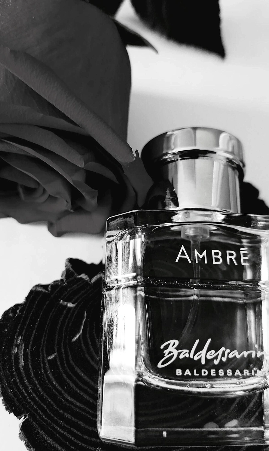 HUGO BOSS Baldessarini Ambre