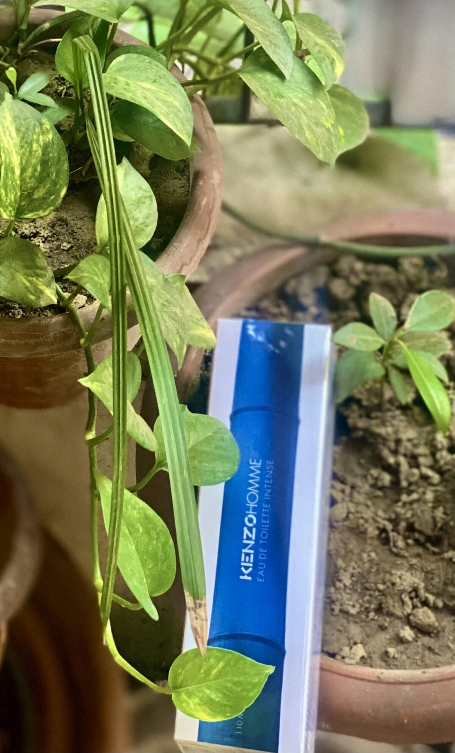 Kenzo Homme Eau de Toilette Intense