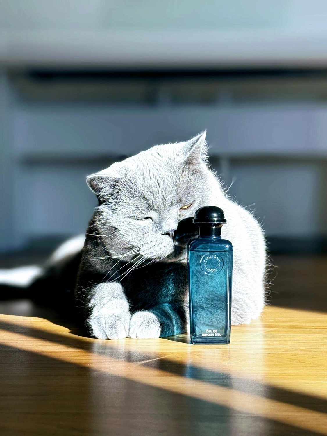 Hermes Eau de Narcisse Bleu