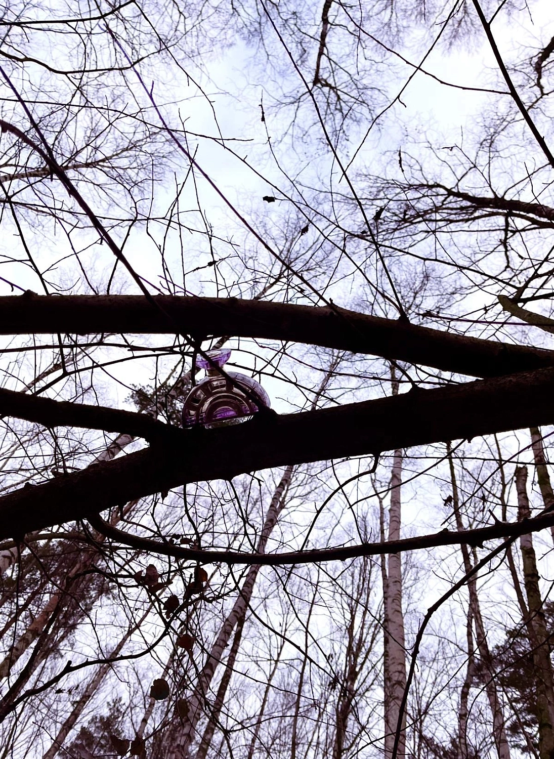 Louis Feraud Parfum des Sens