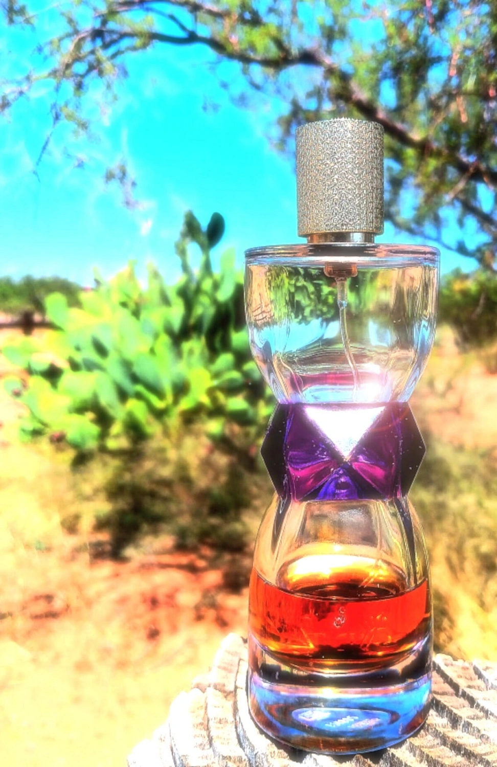 Yves Saint Laurent Manifesto