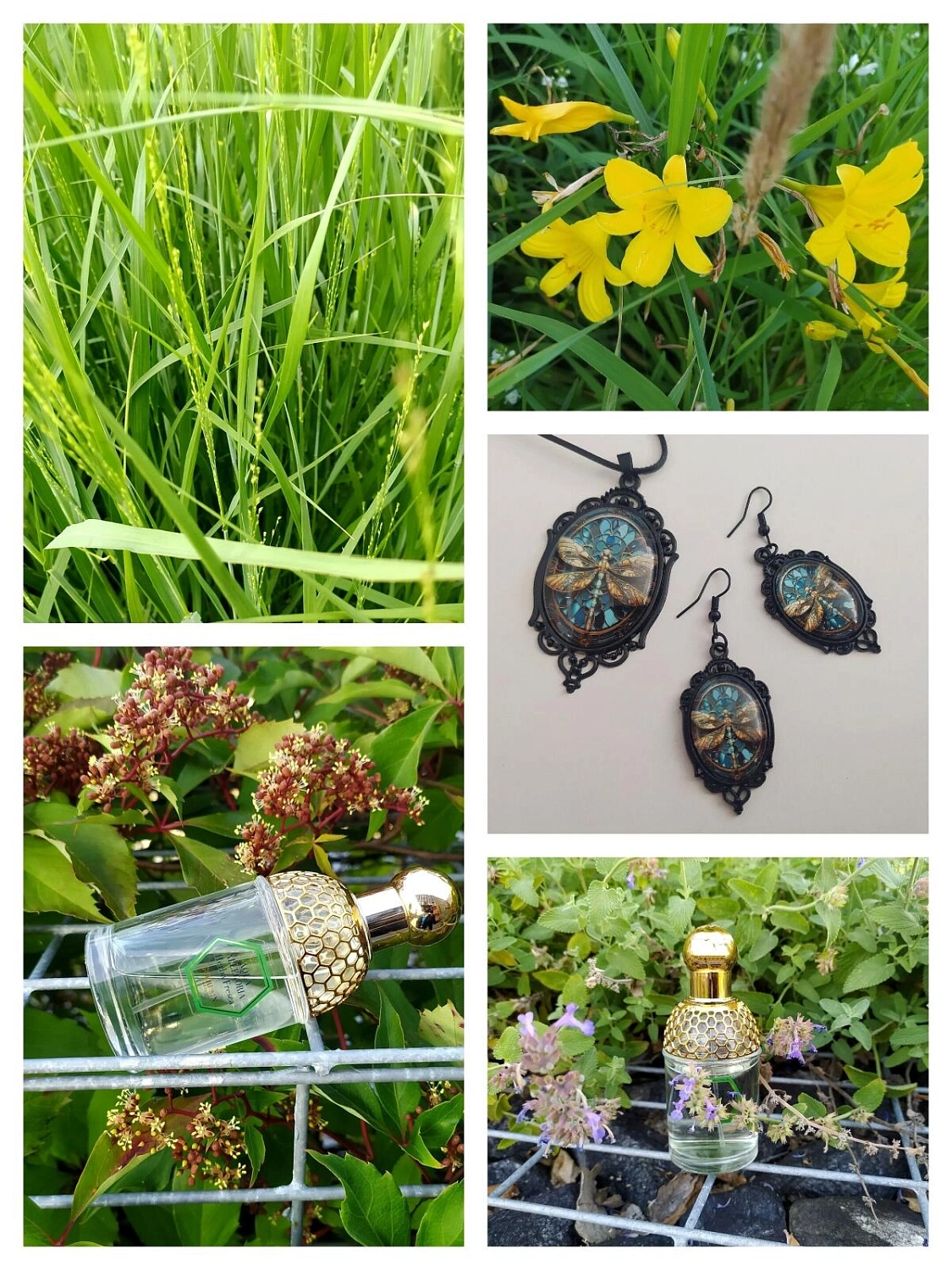 Guerlain Aqua Allegoria Herba Fresca