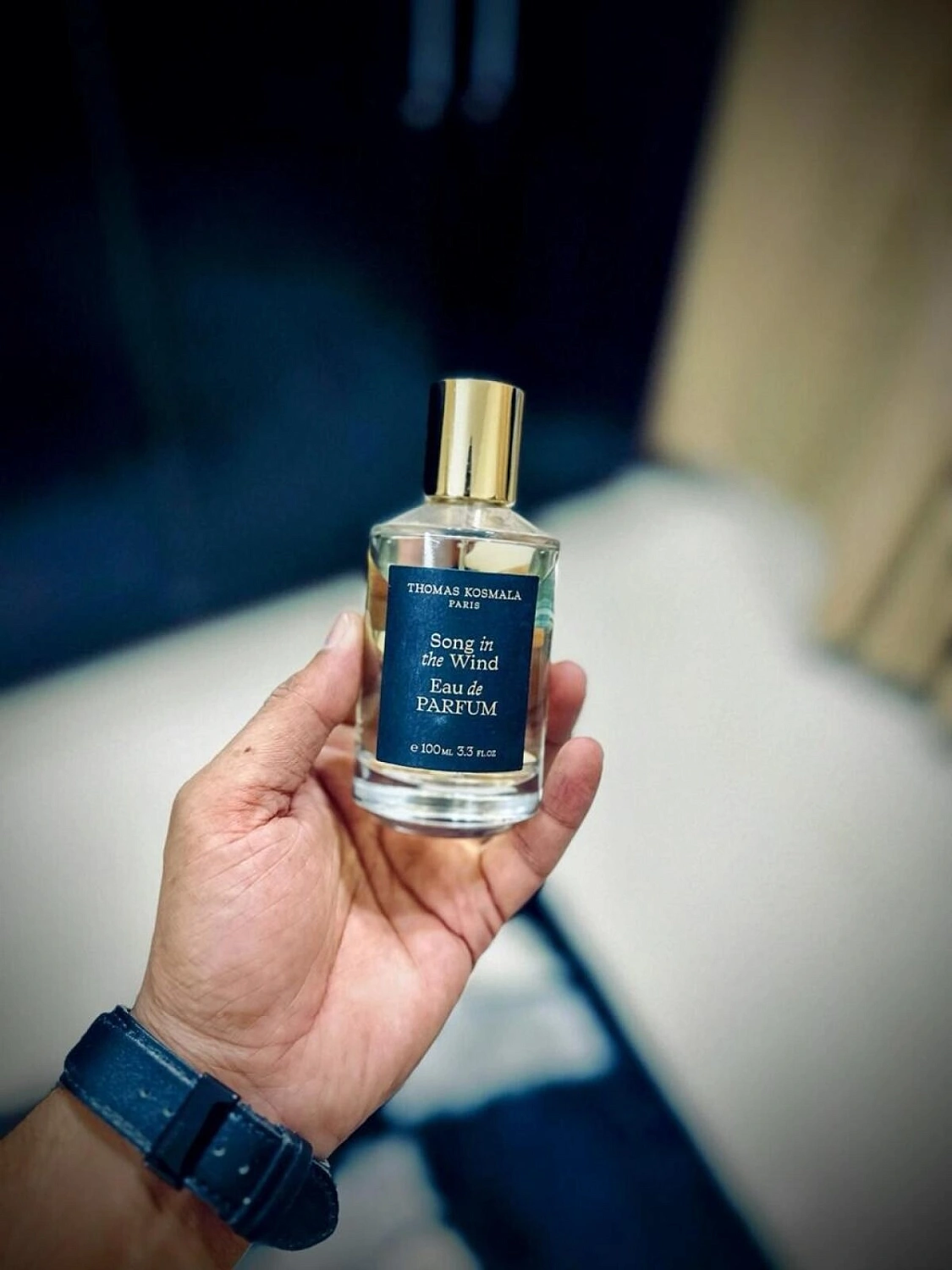 Thomas Kosmala Song In The Wind