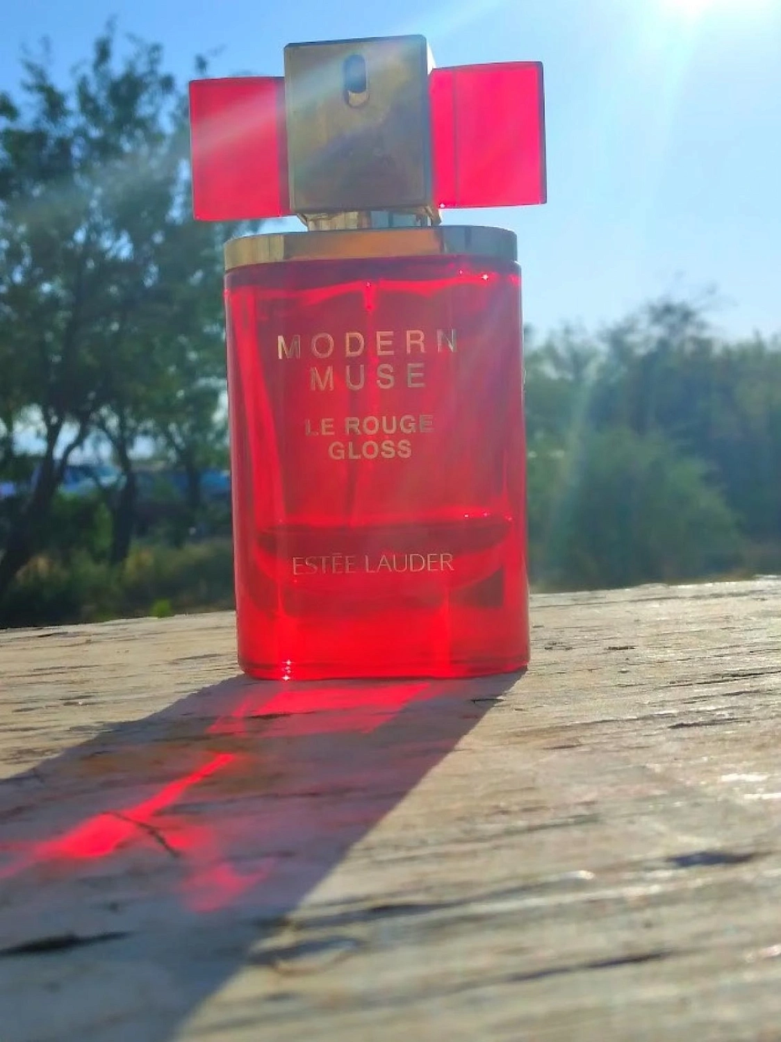 Estee Lauder Modern Muse Le Rouge Gloss Estee Lauder Modern Muse Le Rouge Gloss