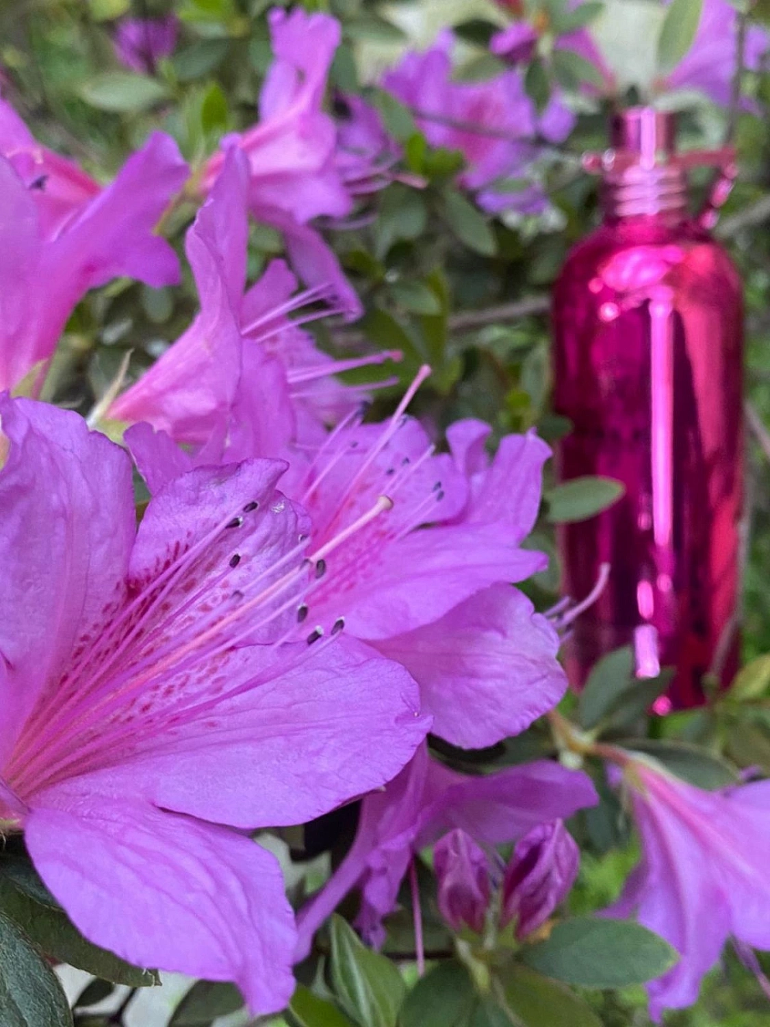 MONTALE Velvet Flowers