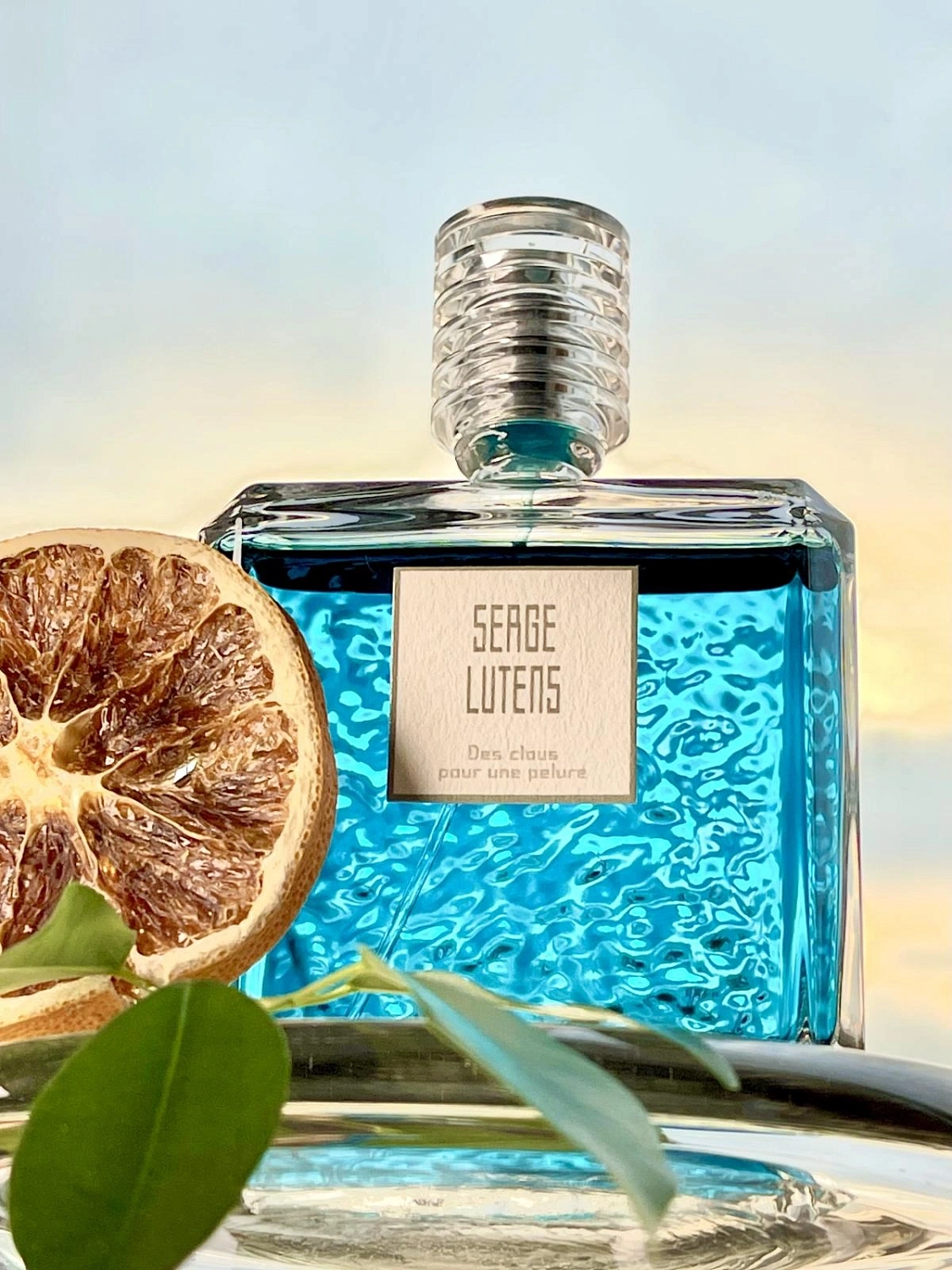 Serge Lutens Des Clous Pour Une Pelure