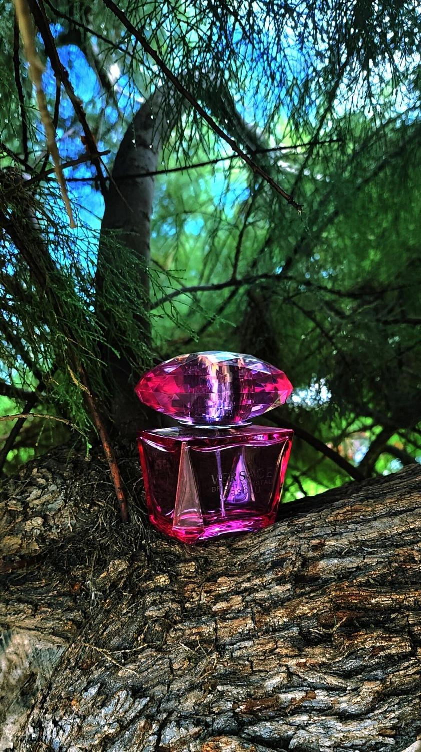 Versace Bright Crystal Absolu Versace Bright Crystal Absolu