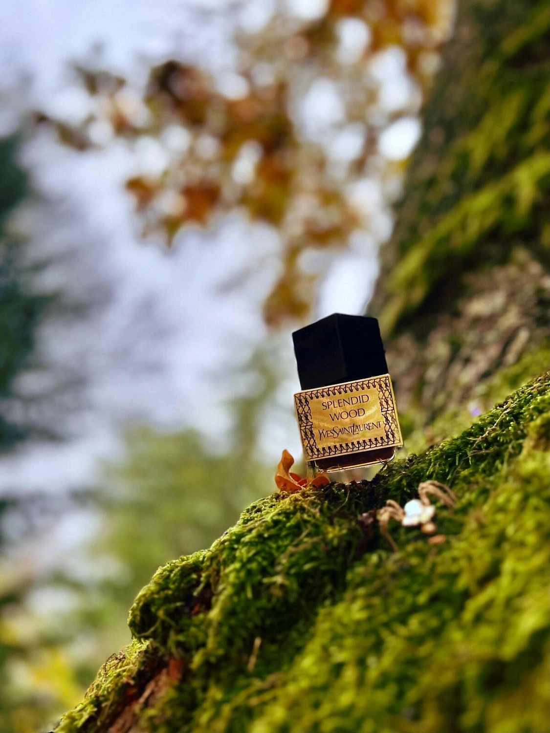 Yves Saint Laurent Splendid Wood