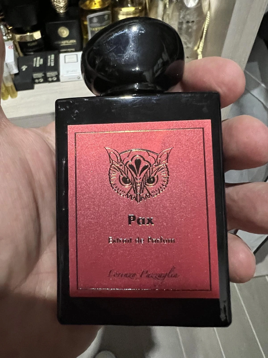 Lorenzo Pazzaglia Pax