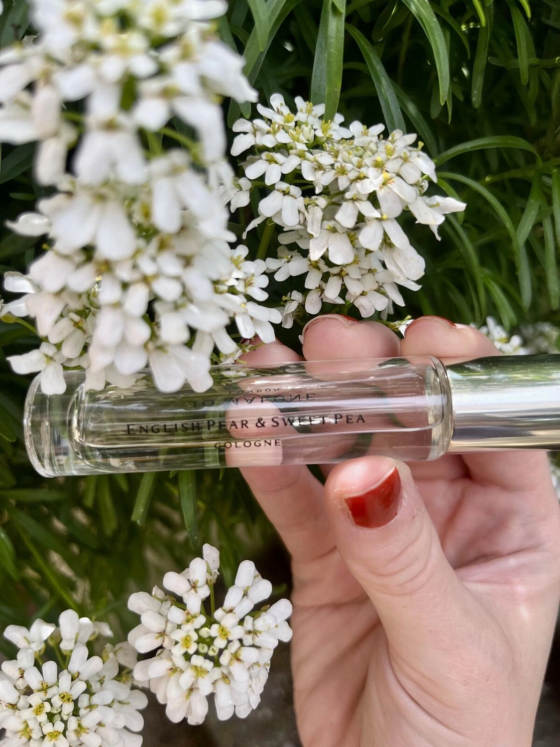 Jo Malone English Pear & Sweet Pea