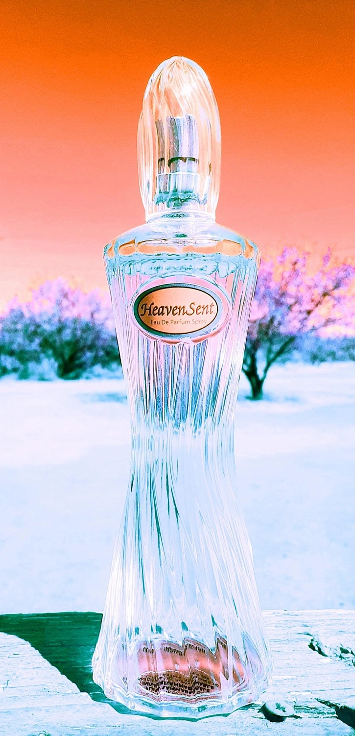 Dana Heaven Sent Dana Heaven Sent