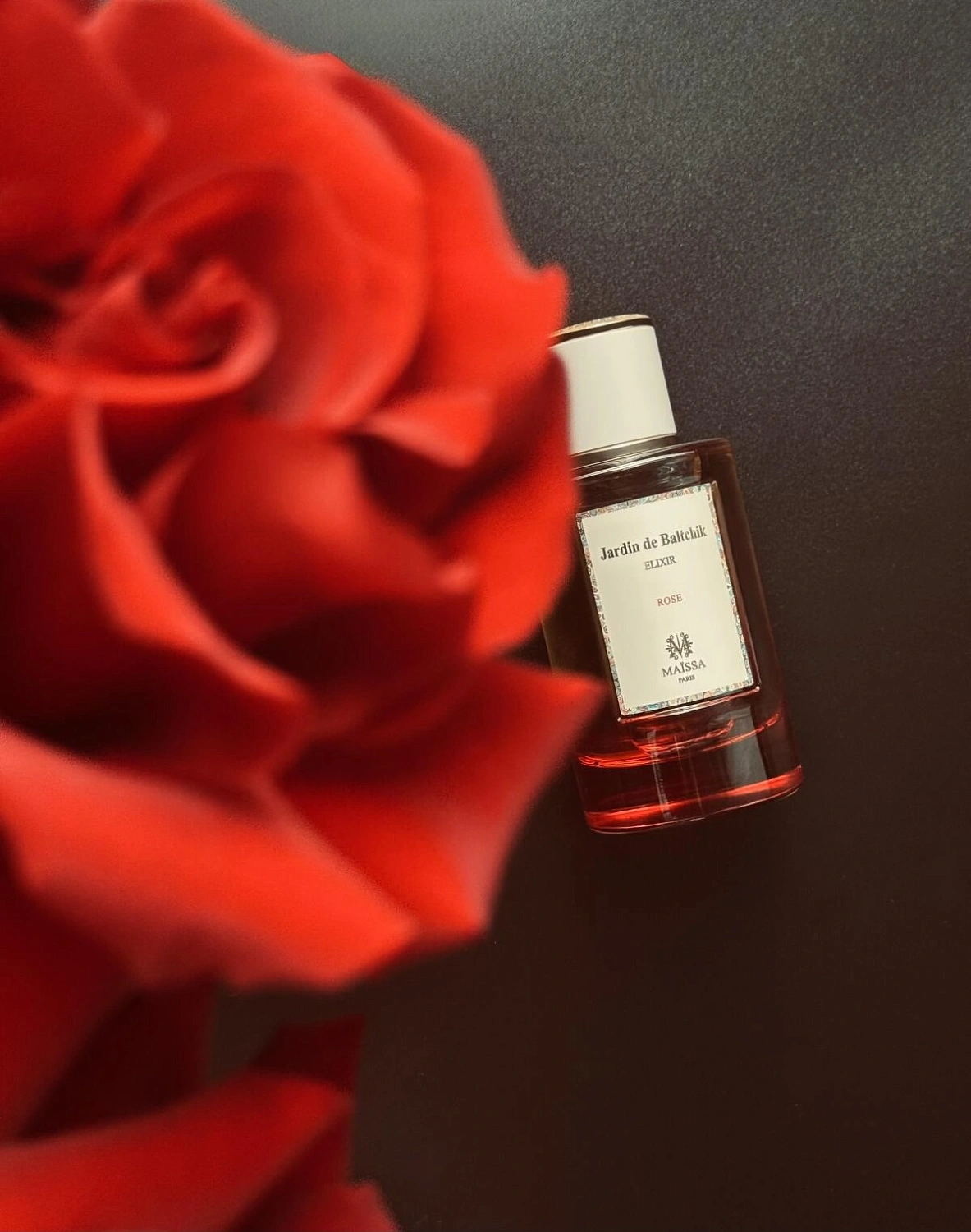 Maissa Jardin de Baltchik Rose