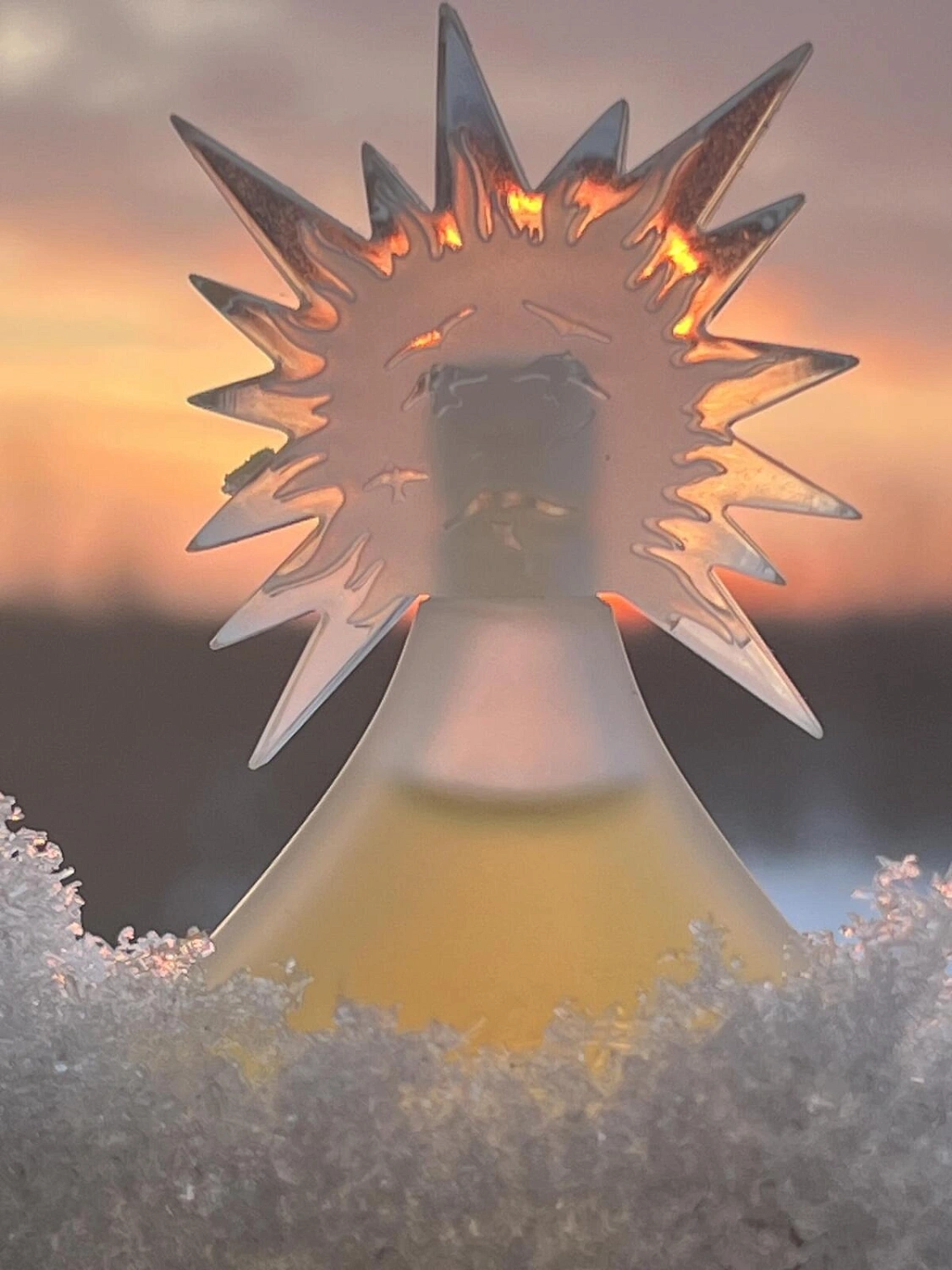 Salvador Dali Le Roy Soleil