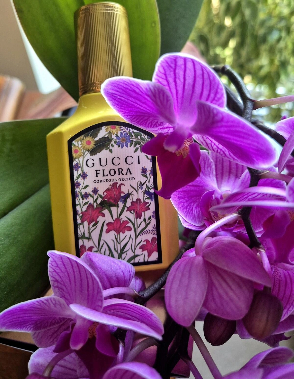 GUCCI Flora Gorgeous Orchid GUCCI Flora Gorgeous Orchid