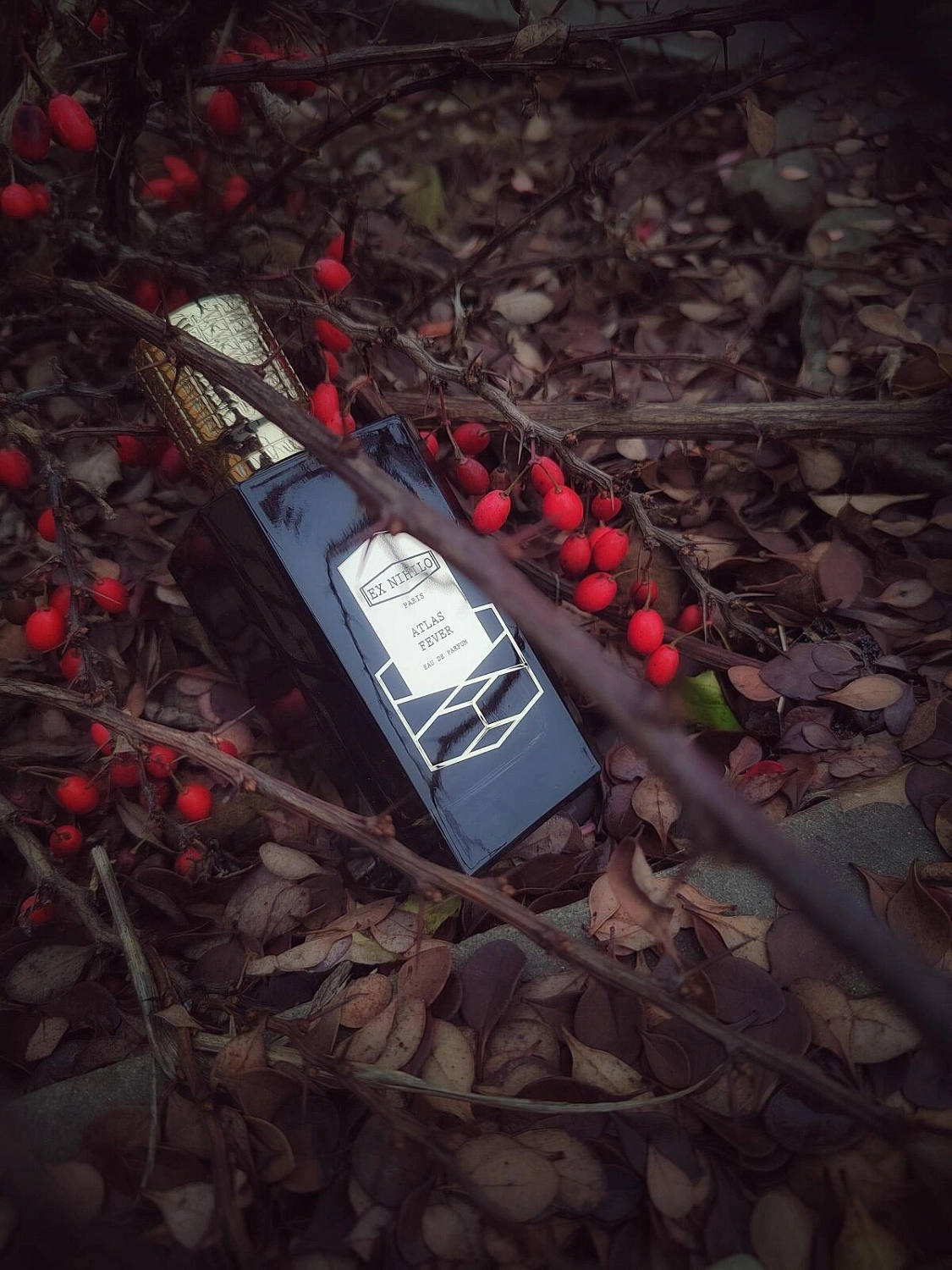 Ex Nihilo Atlas Fever