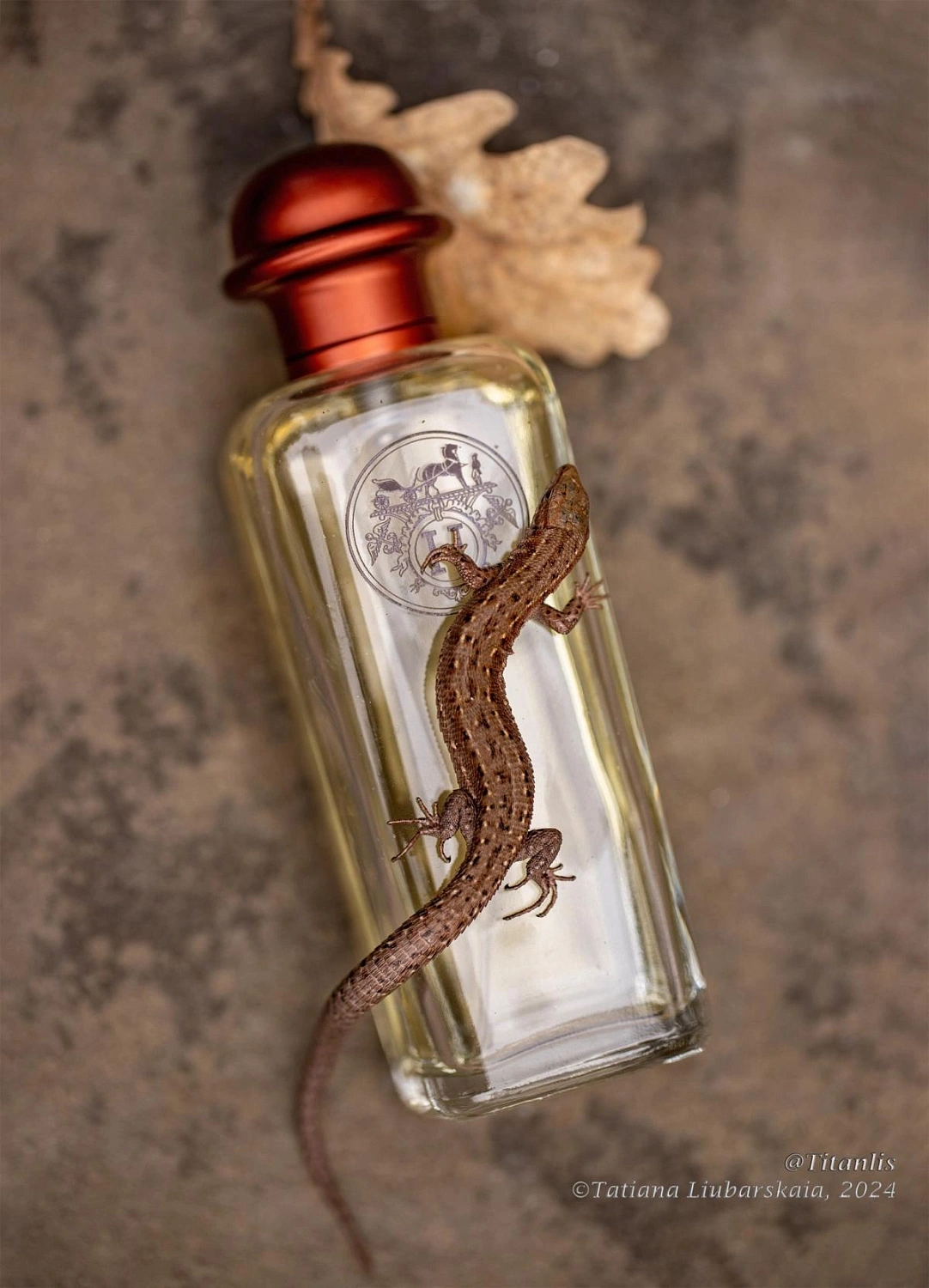 Eau D’Hermes Eau D’Hermes