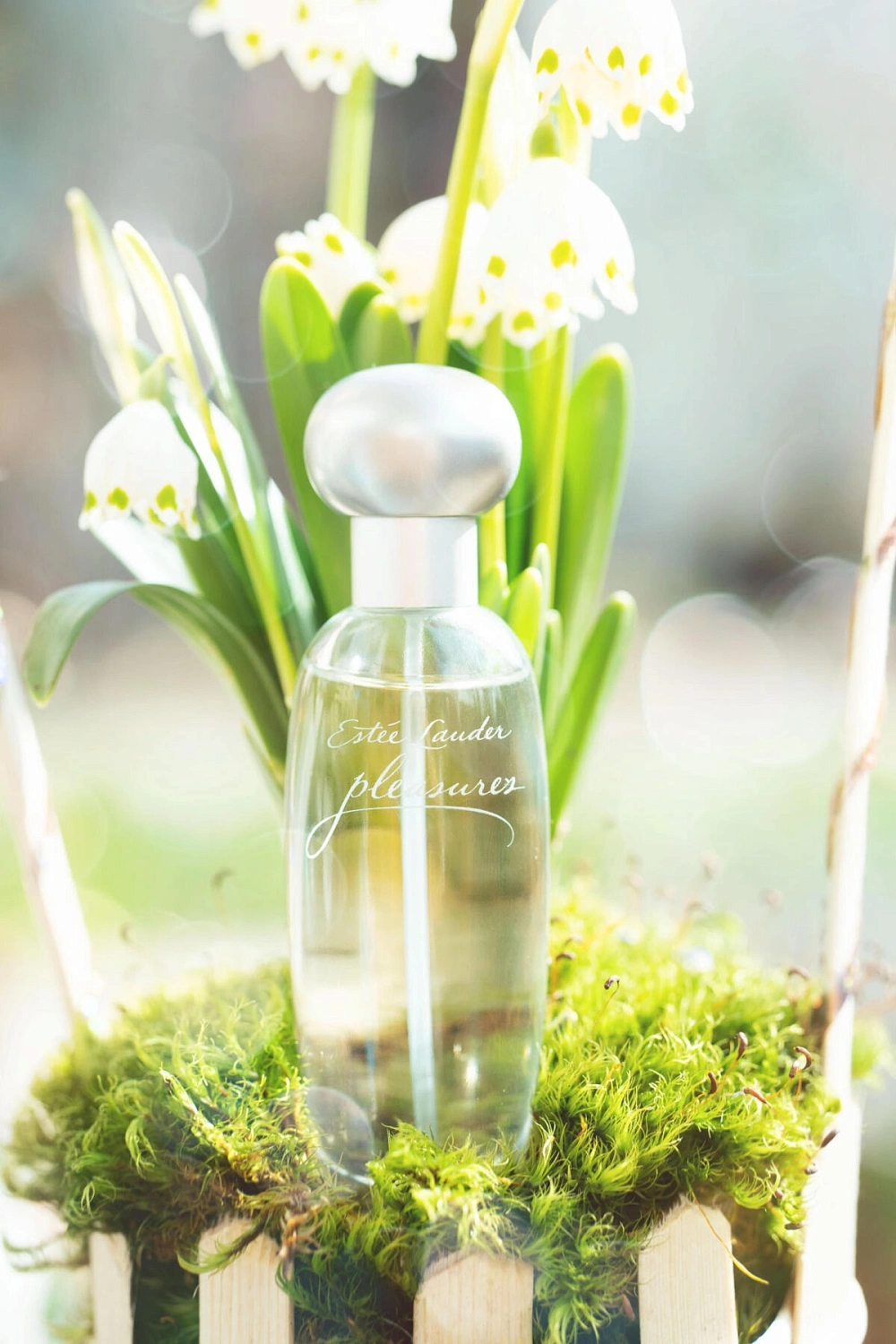 Estée Lauder Pleasures