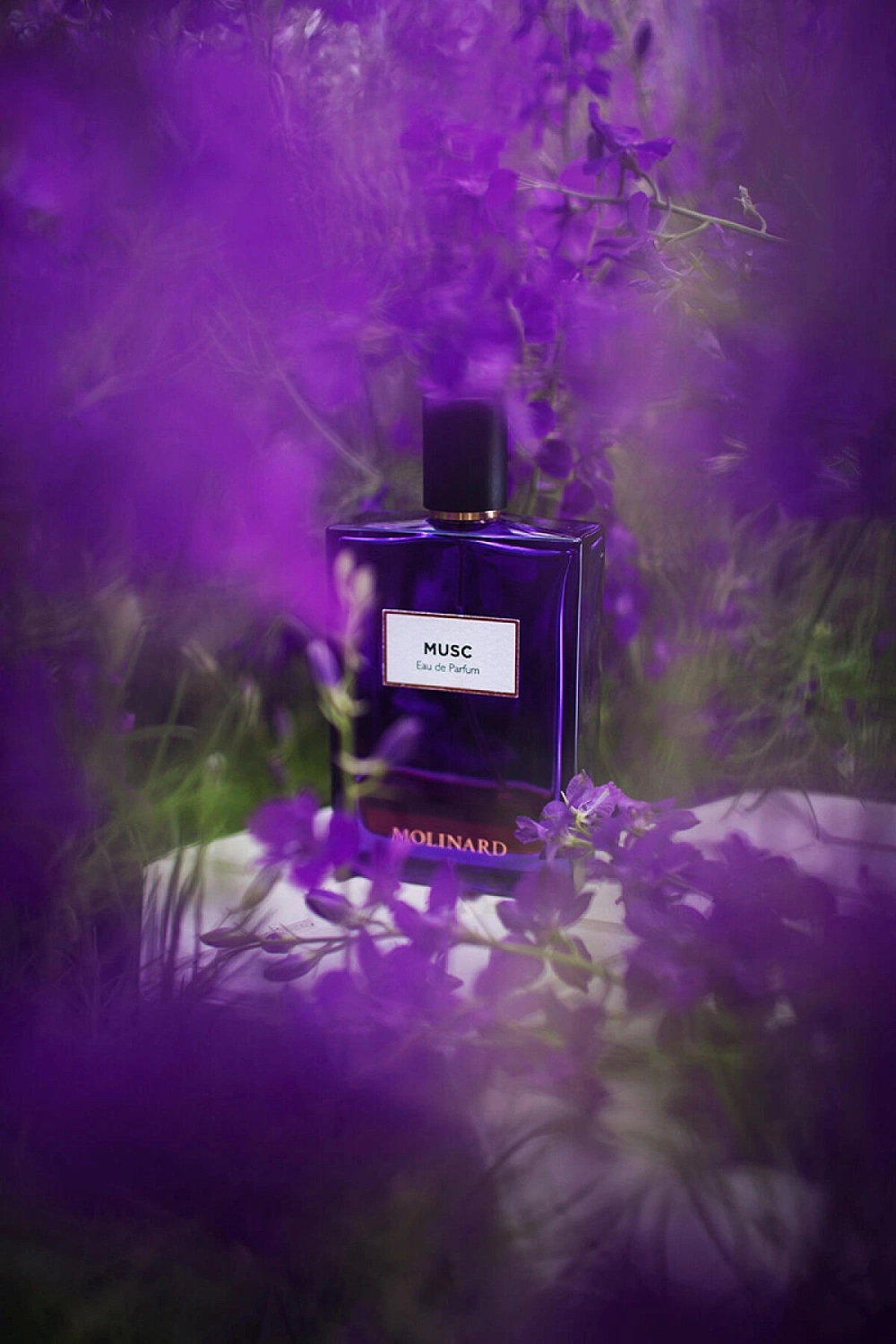 Molinard Musc Eau de Parfum Molinard Musc Eau de Parfum