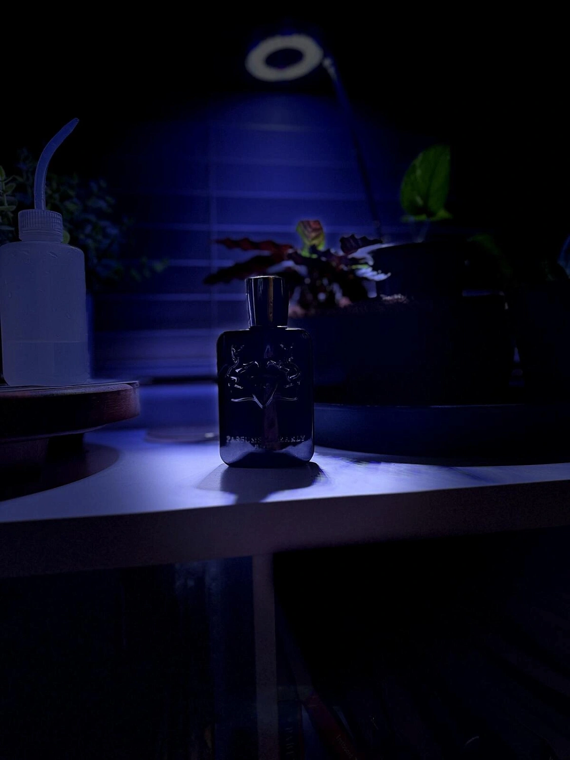 Parfums de Marly Herod