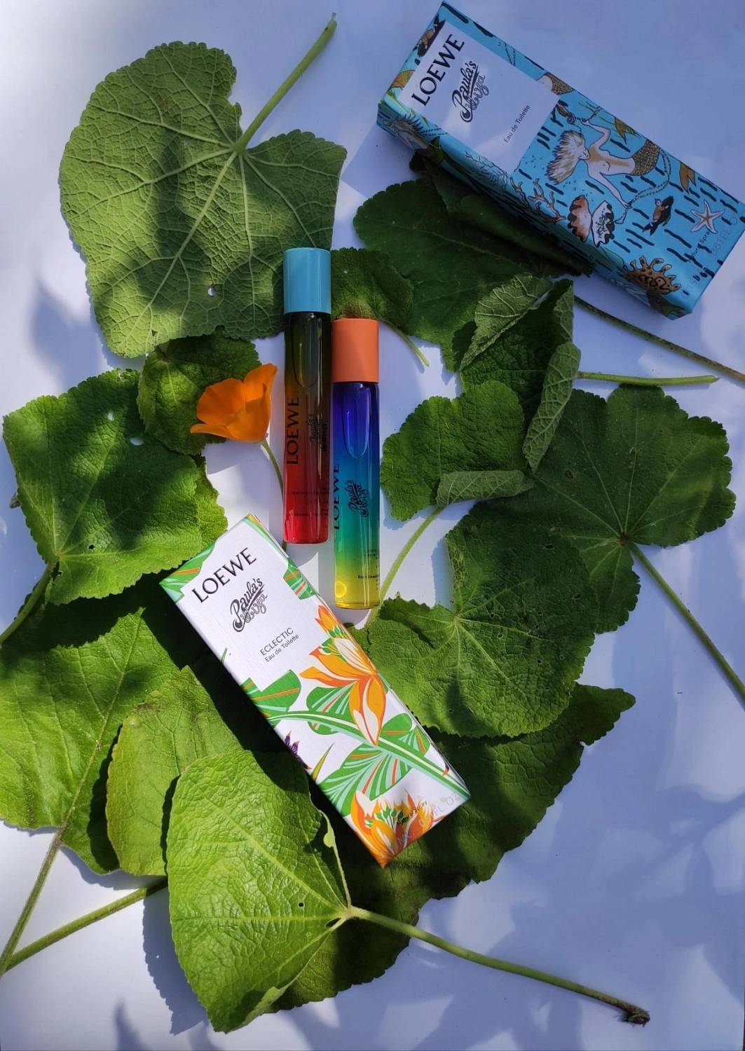 Loewe Paula's Ibiza Eclectic