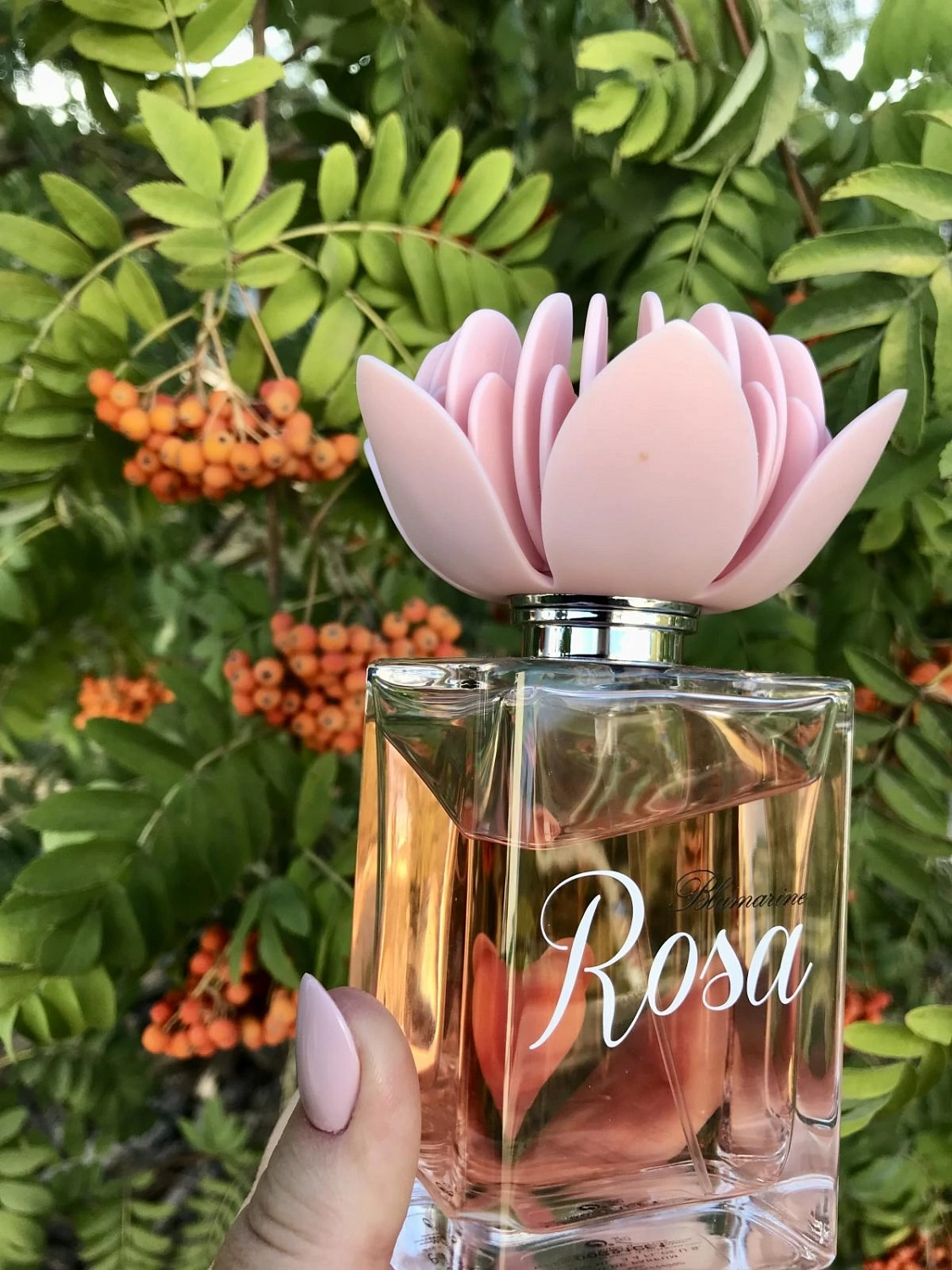 Blumarine Rosa