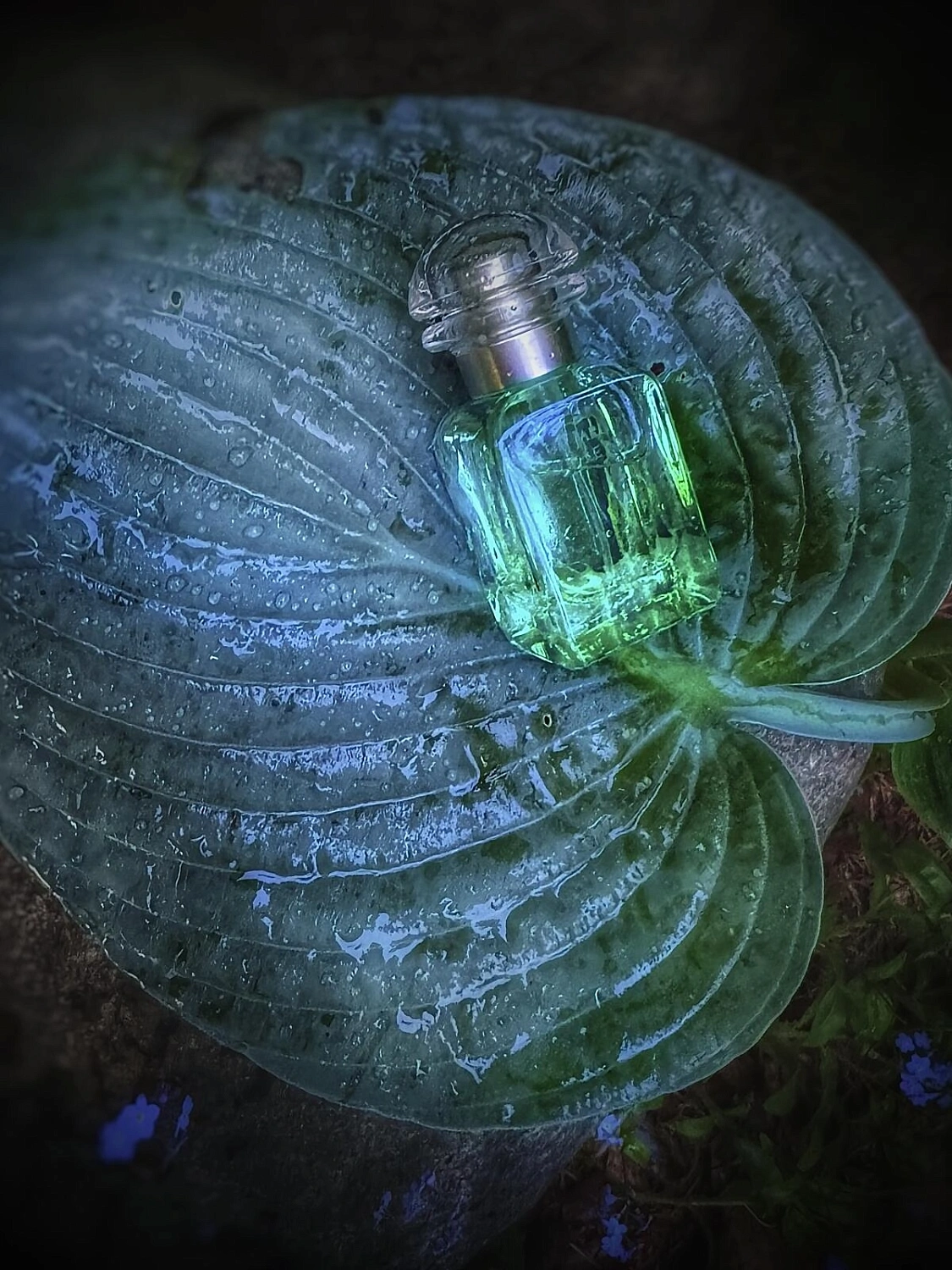 Hermes Un Jardin sur le Nil