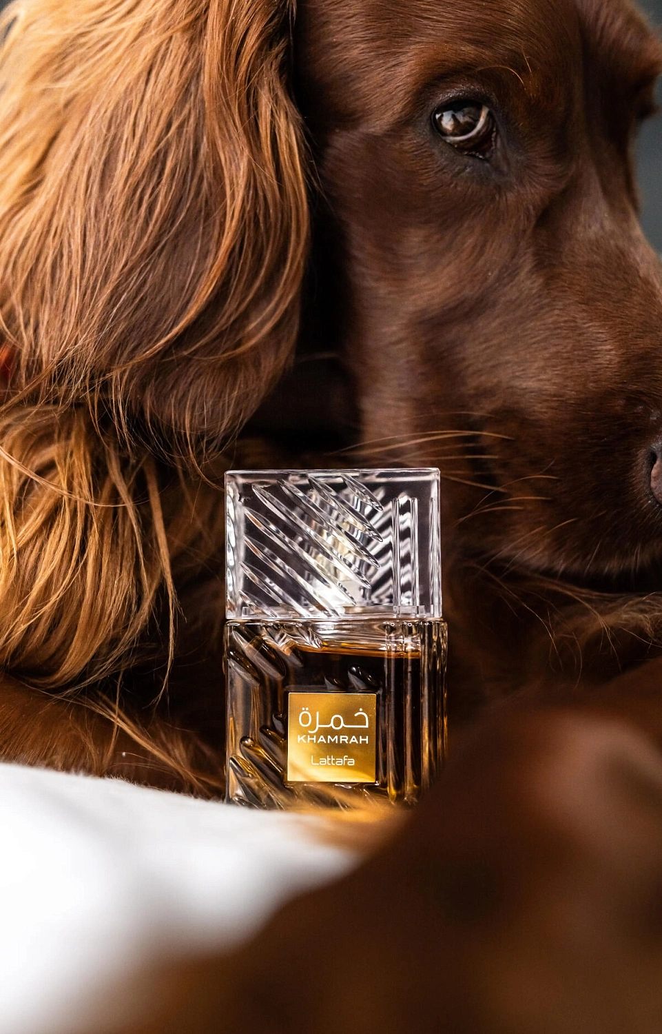 Lattafa Khamrah Lattafa Khamrah