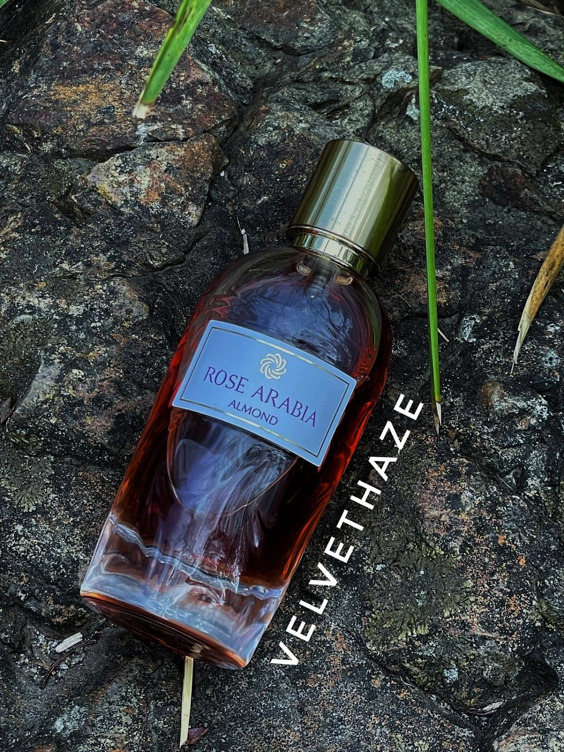 Aj Arabia Widian Rose Arabia Almond