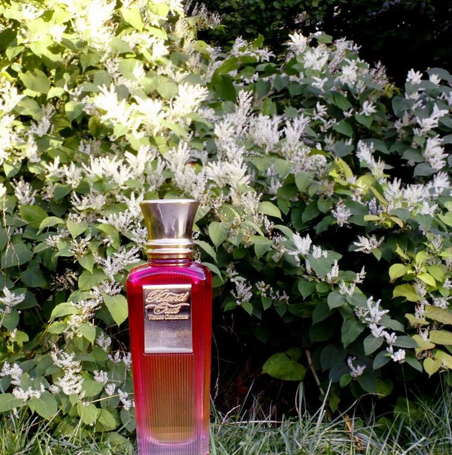 Blend Oud Tupai Love