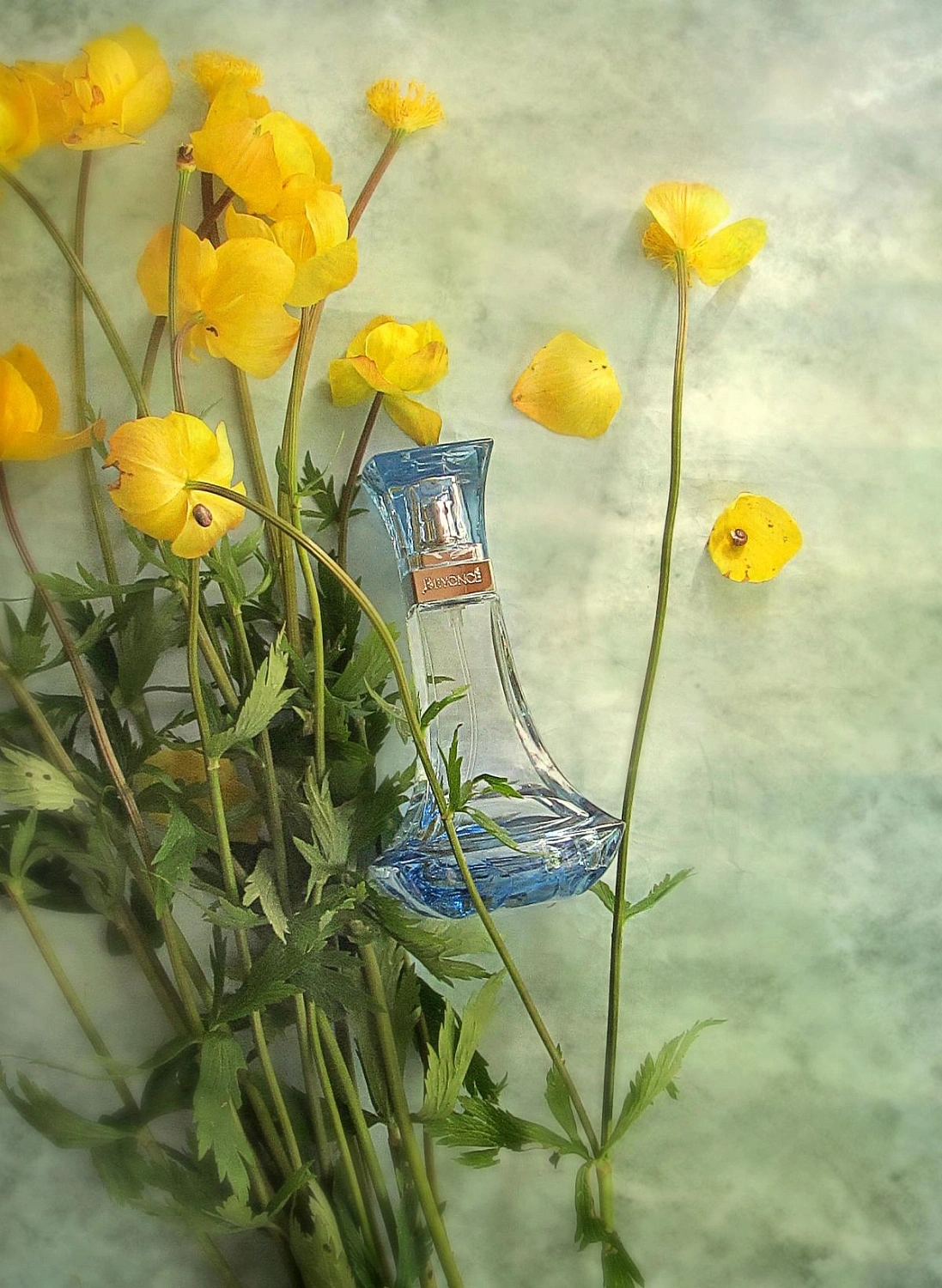 Beyonce Shimmering Heat