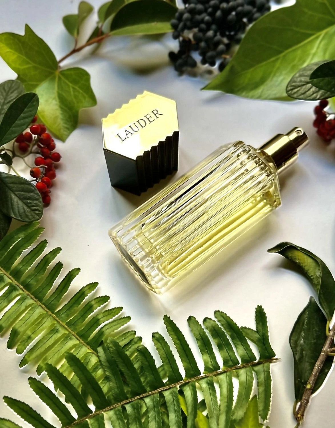 Estee Lauder Lauder for Men