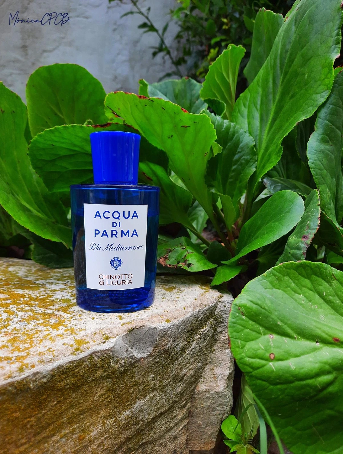 Acqua di Parma Chinotto di Liguria Acqua di Parma Chinotto di Liguria