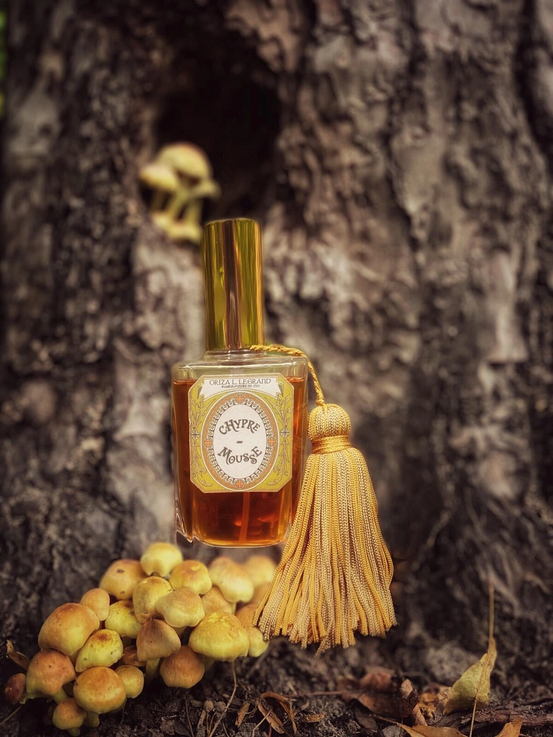 Oriza L. Legrand Chypre Mousse Oriza L. Legrand Chypre Mousse